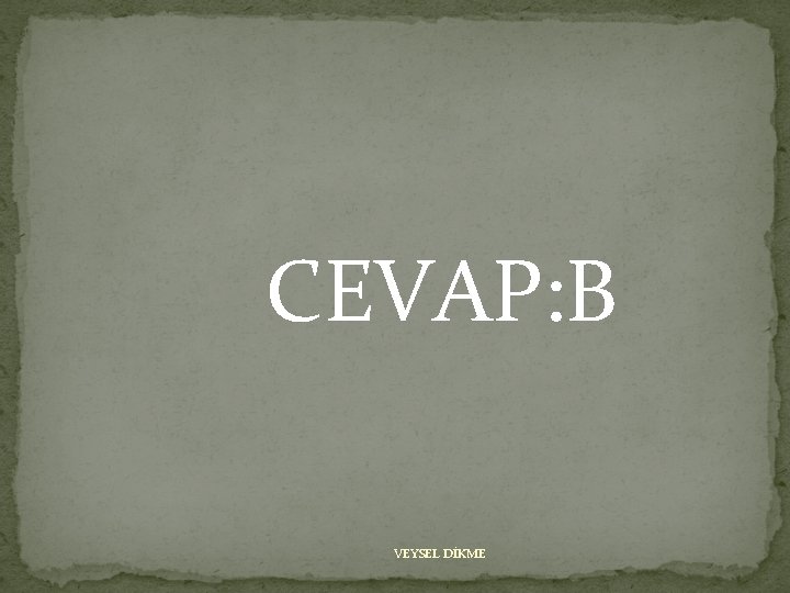 CEVAP: B VEYSEL DİKME 