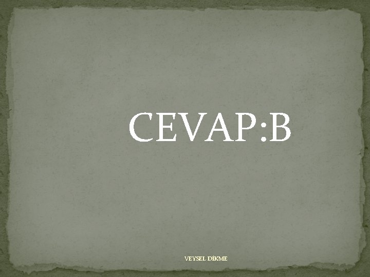 CEVAP: B VEYSEL DİKME 