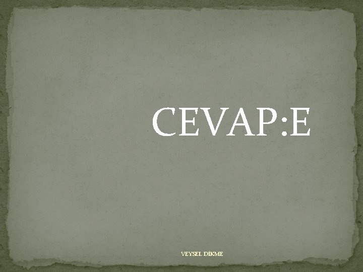 CEVAP: E VEYSEL DİKME 