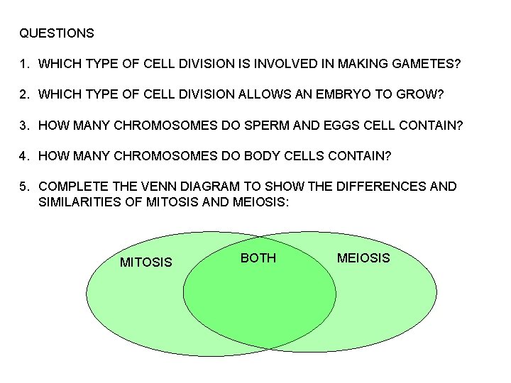 QUESTIONS 1. WHICH TYPE OF CELL DIVISION IS INVOLVED IN MAKING GAMETES? 2. WHICH