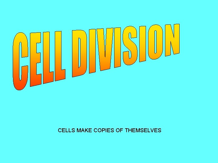 CELLS MAKE COPIES OF THEMSELVES 