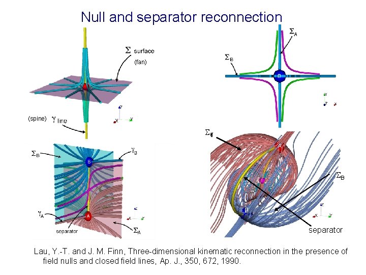 Null and separator reconnection (fan) (spine) A B B separator Lau, Y. -T. and