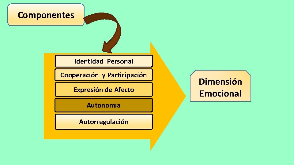 Componentes Identidad Personal Cooperación y Participación Expresión de Afecto Autonomía Autorregulación Dimensión Emocional 