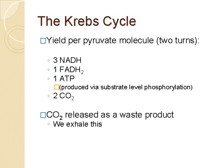 The Krebs Cycle �Yield per pyruvate molecule (two turns): ◦ 3 NADH ◦ 1