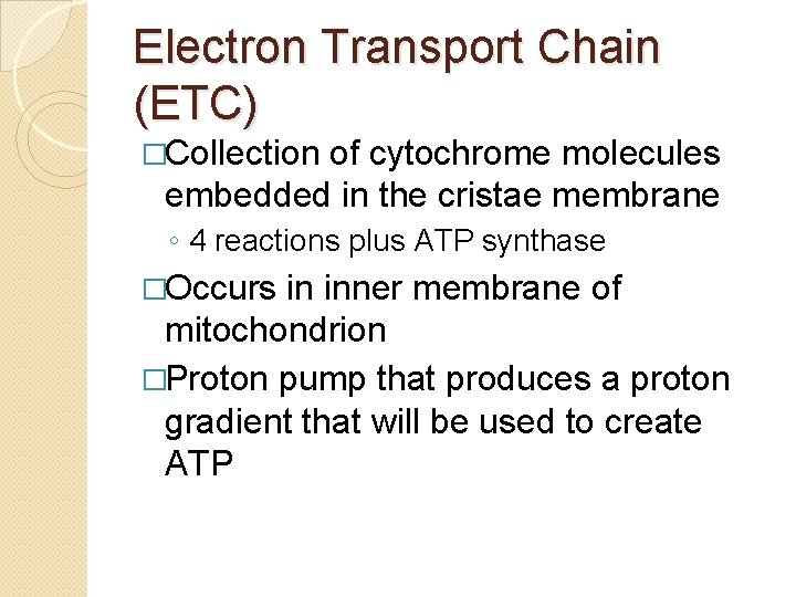 Electron Transport Chain (ETC) �Collection of cytochrome molecules embedded in the cristae membrane ◦