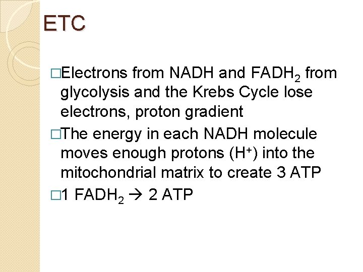 ETC �Electrons from NADH and FADH 2 from glycolysis and the Krebs Cycle lose