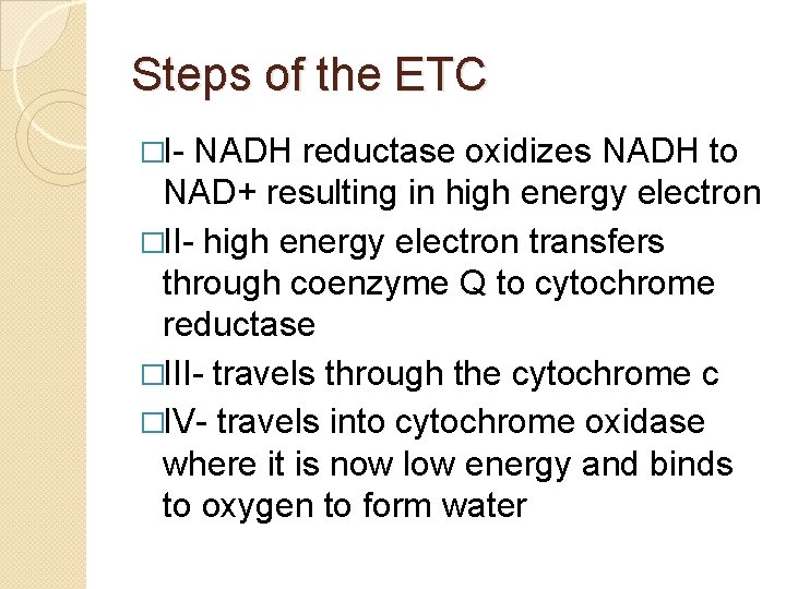 Steps of the ETC �I- NADH reductase oxidizes NADH to NAD+ resulting in high