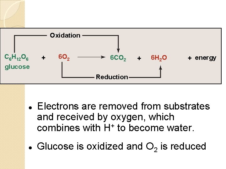 Oxidation C 6 H 12 O 6 + 6 O 2 6 CO 2