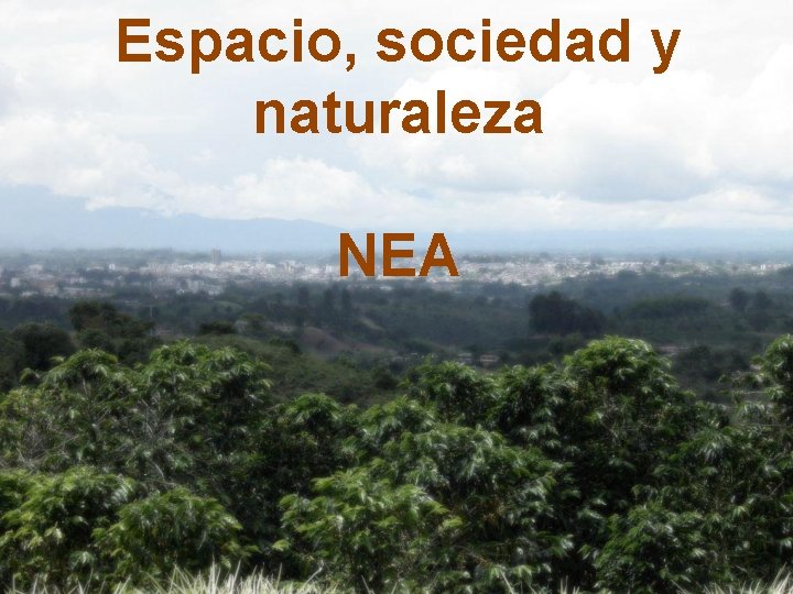 Espacio, sociedad y naturaleza NEA 