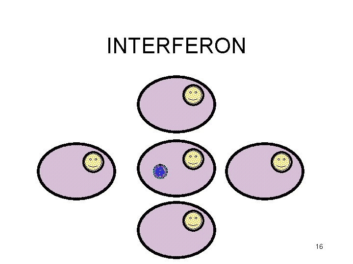 INTERFERON 16 