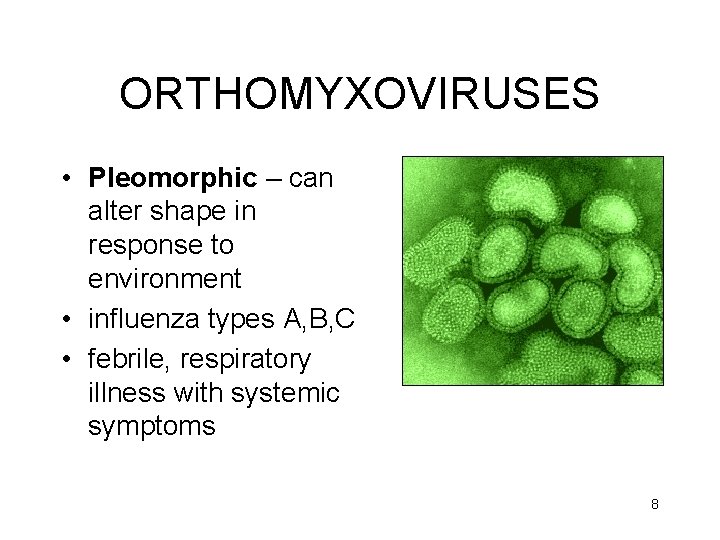 ORTHOMYXOVIRUSES • Pleomorphic – can alter shape in response to environment • influenza types