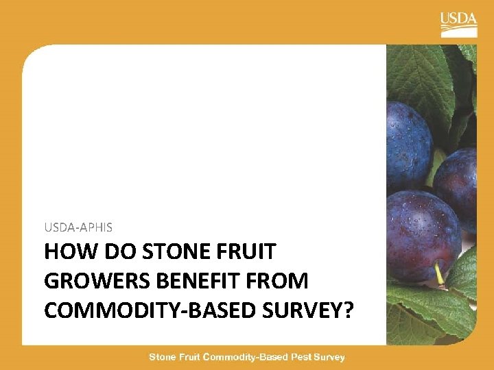 USDA-APHIS HOW DO STONE FRUIT GROWERS BENEFIT FROM COMMODITY-BASED SURVEY? 