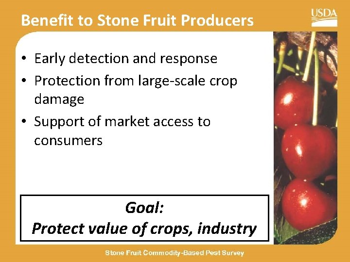 Benefit to Stone Fruit Producers • Early detection and response • Protection from large-scale