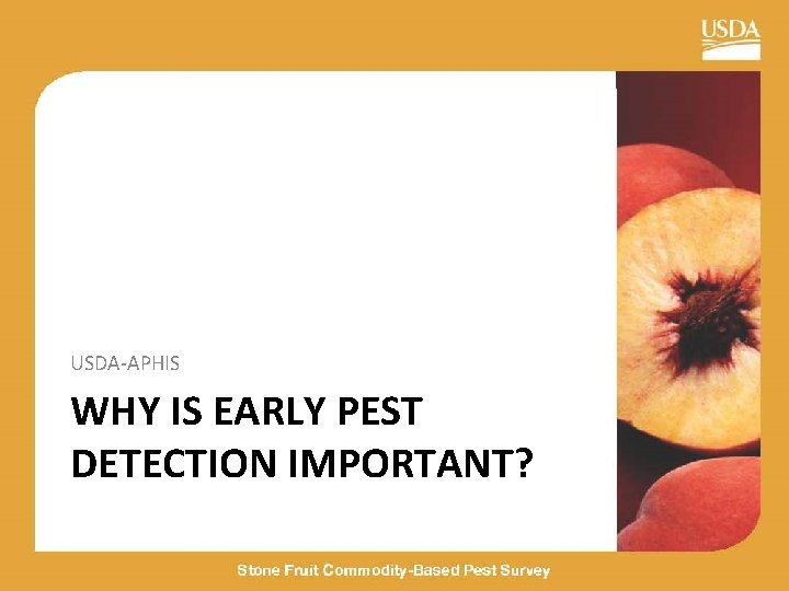 USDA-APHIS WHY IS EARLY PEST DETECTION IMPORTANT? 