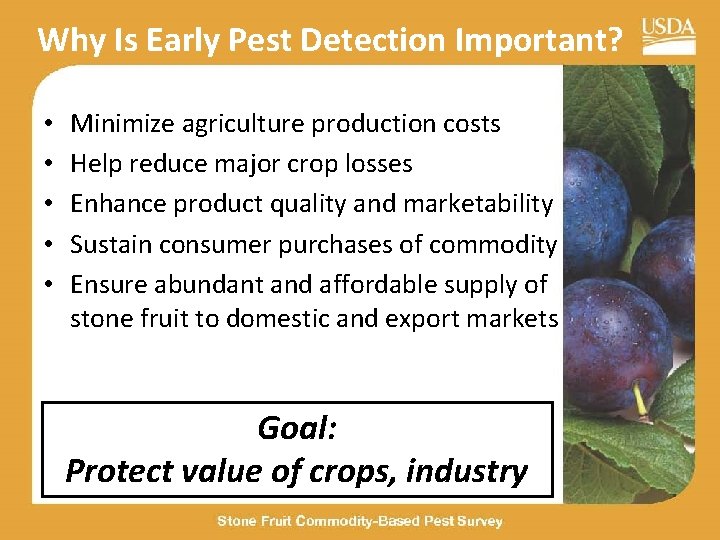 Why Is Early Pest Detection Important? Early Detection Can: • Minimize agriculture production costs