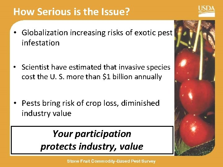 How Serious is the Issue? • Globalization increasing risks of exotic pest infestation •