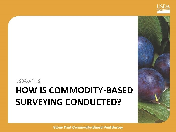 USDA-APHIS HOW IS COMMODITY-BASED SURVEYING CONDUCTED? 