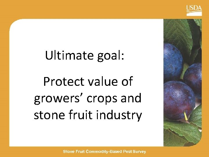 Ultimate goal: Protect value of growers’ crops and stone fruit industry 
