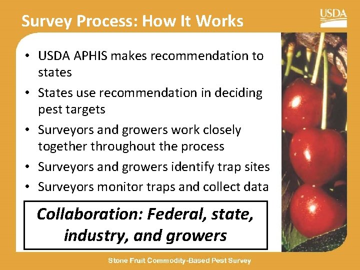 Survey Process: How It Works • USDA APHIS makes recommendation to states • States