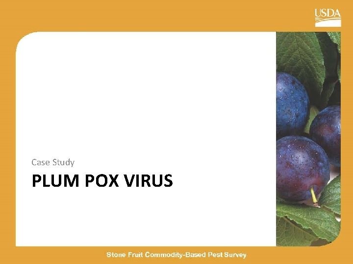 Case Study PLUM POX VIRUS 