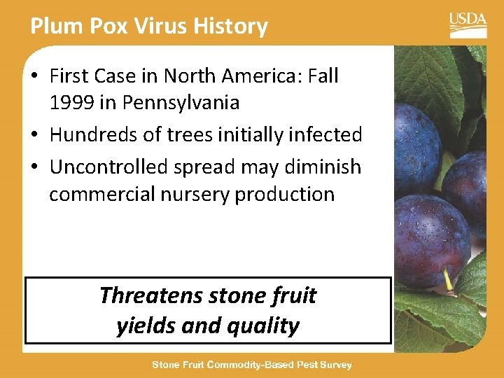 Plum Pox Virus History • First Case in North America: Fall 1999 in Pennsylvania
