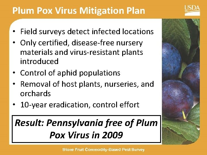 Plum Pox Virus Mitigation Plan • Field surveys detect infected locations • Only certified,