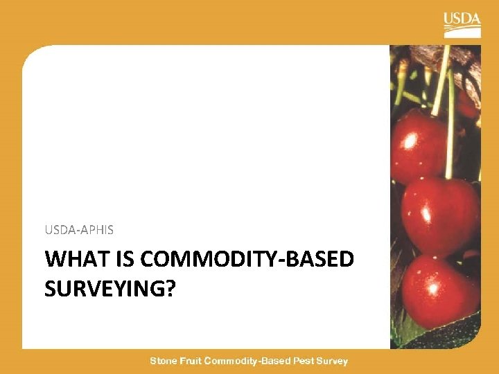 USDA-APHIS WHAT IS COMMODITY-BASED SURVEYING? 