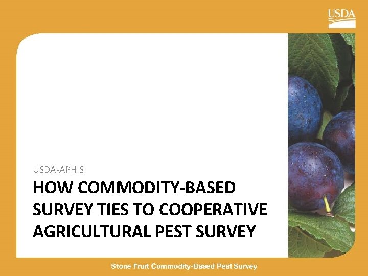 USDA-APHIS HOW COMMODITY-BASED SURVEY TIES TO COOPERATIVE AGRICULTURAL PEST SURVEY 