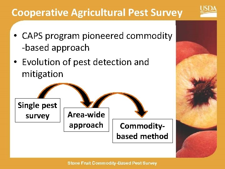 Cooperative Agricultural Pest Survey • CAPS program pioneered commodity -based approach • Evolution of