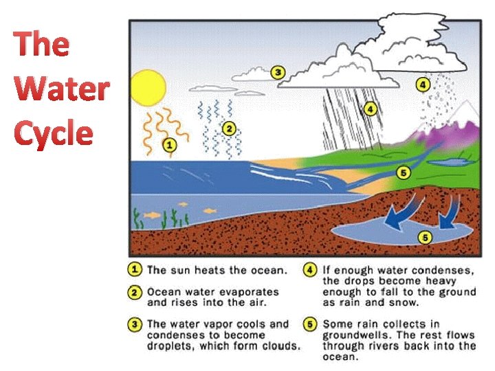 The Water Cycle 
