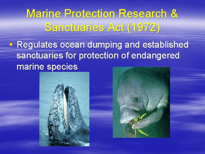 Marine Protection Research & Sanctuaries Act (1972) § Regulates ocean dumping and established sanctuaries