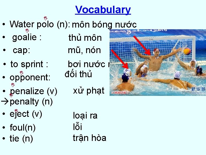 Vocabulary • Water polo (n): môn bóng nước • goalie : thủ môn •