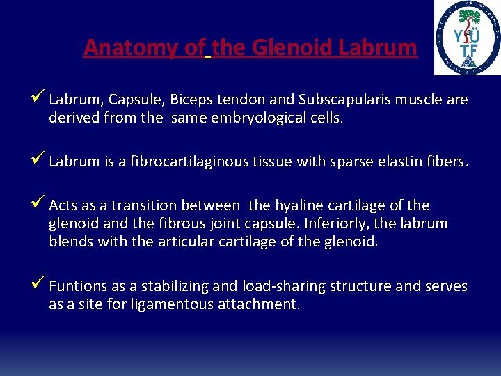 Anatomy of the Glenoid Labrum ü Labrum, Capsule, Biceps tendon and Subscapularis muscle are