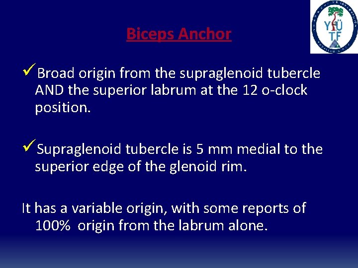 Biceps Anchor üBroad origin from the supraglenoid tubercle AND the superior labrum at the