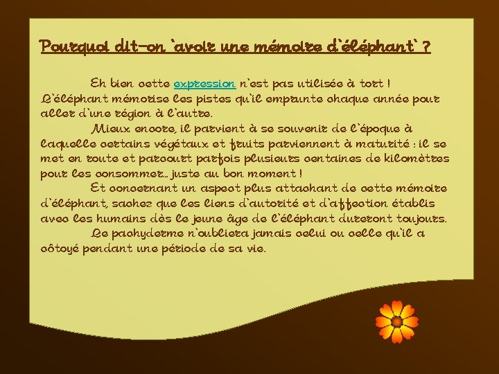 Pourquoi dit-on 'avoir une mémoire d'éléphant' ? Eh bien cette expression n'est pas utilisée