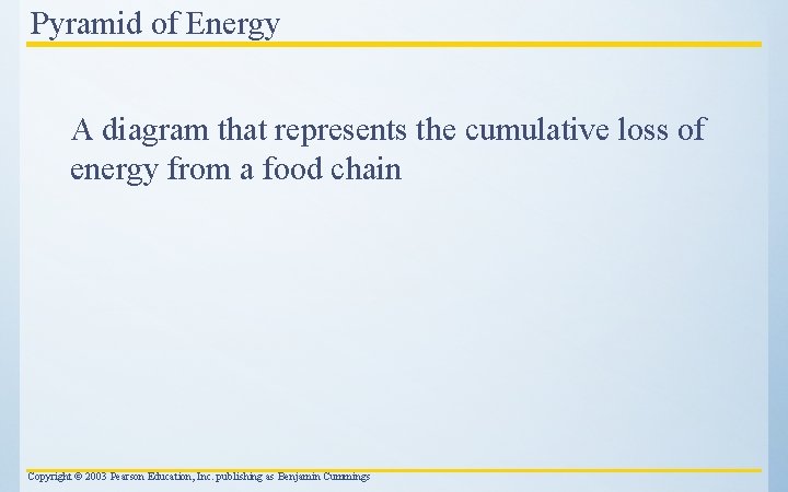 Pyramid of Energy A diagram that represents the cumulative loss of energy from a