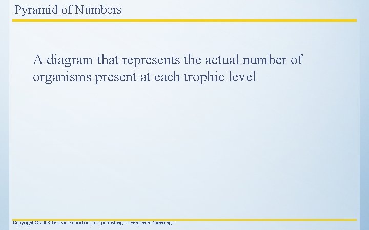 Pyramid of Numbers A diagram that represents the actual number of organisms present at