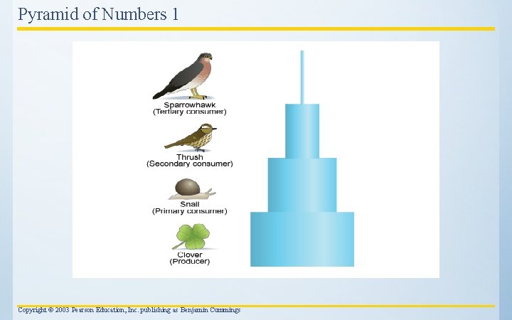 Pyramid of Numbers 1 Copyright © 2003 Pearson Education, Inc. publishing as Benjamin Cummings
