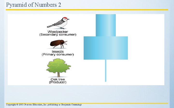 Pyramid of Numbers 2 Copyright © 2003 Pearson Education, Inc. publishing as Benjamin Cummings