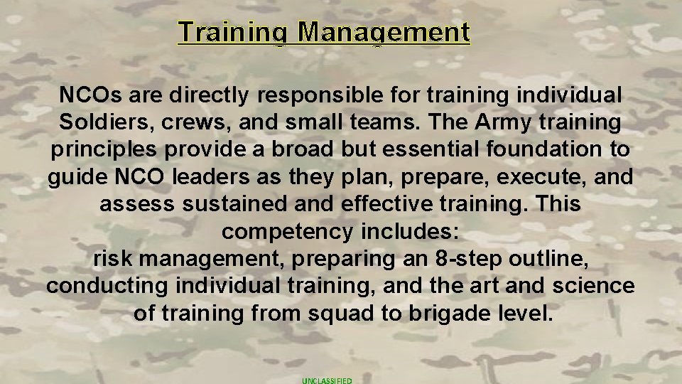 Training Management NCOs are directly responsible for training individual Soldiers, crews, and small teams.