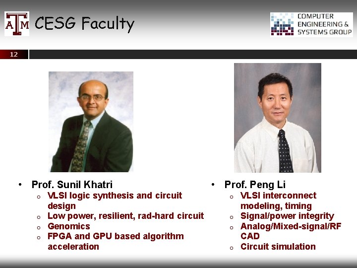 CESG Faculty 12 • Prof. Sunil Khatri VLSI logic synthesis and circuit design o