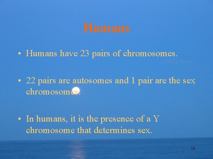 Humans • Humans have 23 pairs of chromosomes. • 22 pairs are autosomes and