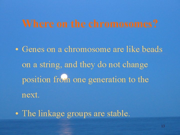 Where on the chromosomes? • Genes on a chromosome are like beads on a