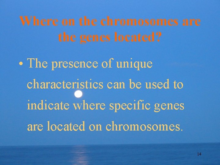 Where on the chromosomes are the genes located? • The presence of unique characteristics