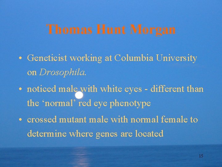 Thomas Hunt Morgan • Geneticist working at Columbia University on Drosophila. • noticed male