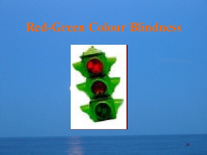 Red-Green Colour Blindness 24 