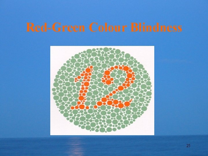 Red-Green Colour Blindness 25 