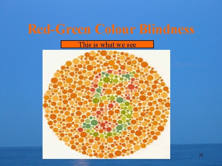 Red-Green Colour Blindness This is what we see 26 