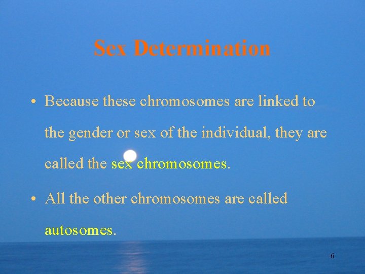 Sex Determination • Because these chromosomes are linked to the gender or sex of