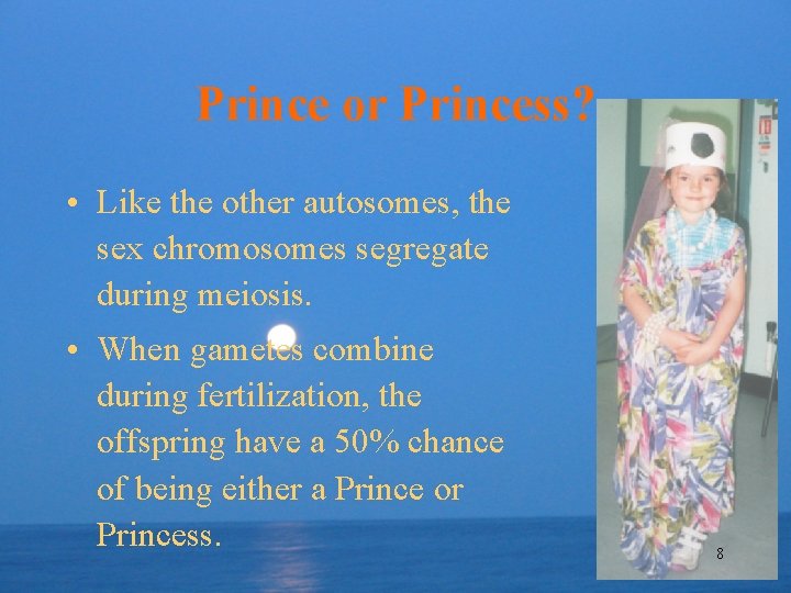 Prince or Princess? • Like the other autosomes, the sex chromosomes segregate during meiosis.